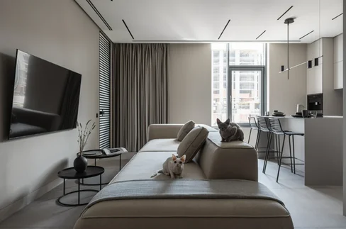 Apartment Remodeling
